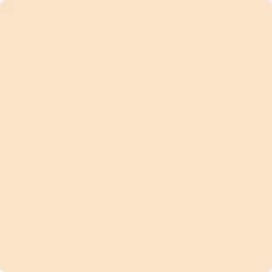 093 Winter Melon