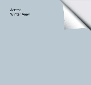 Accent Winter View