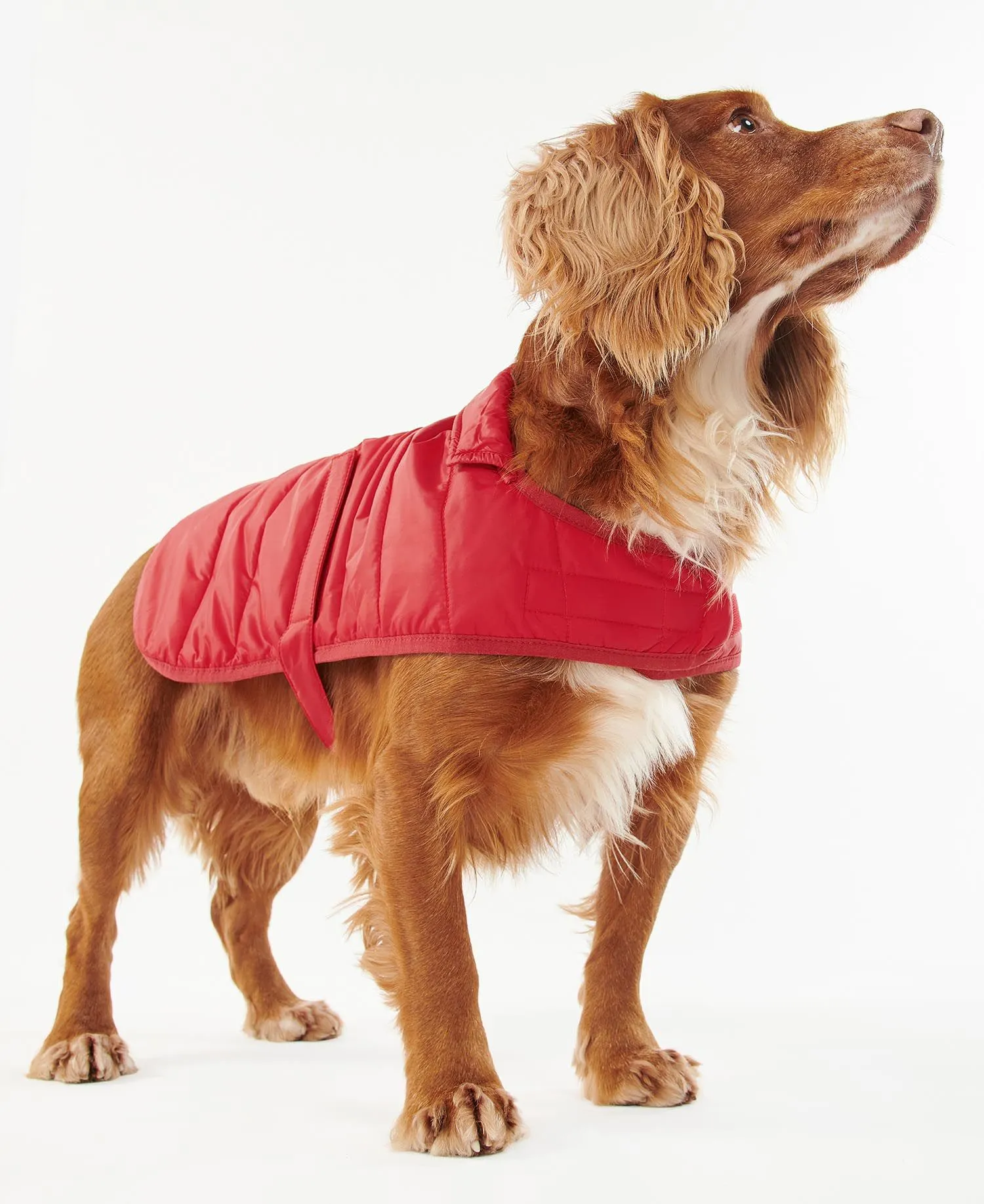 Barbour Baffle Quilt Dog Coat