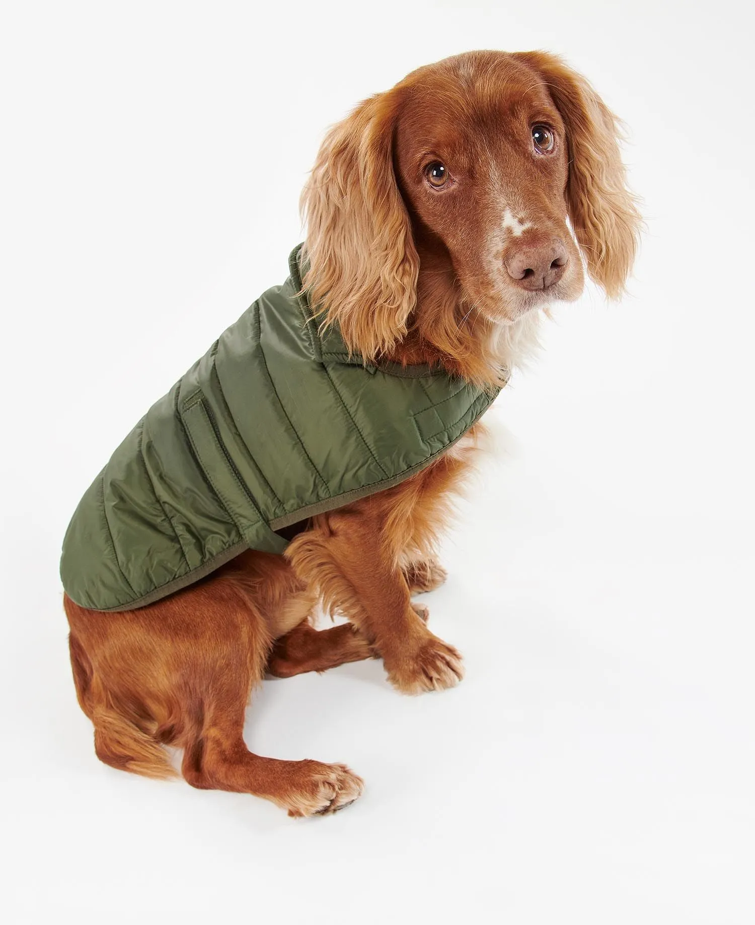 Barbour Baffle Quilt Dog Coat