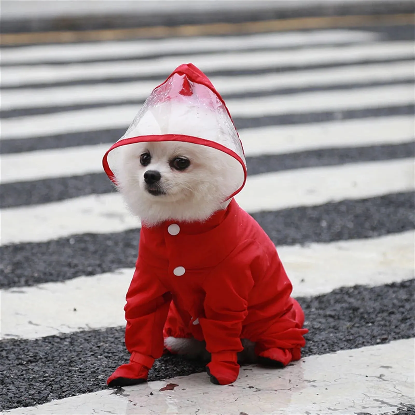 Canada Jacket