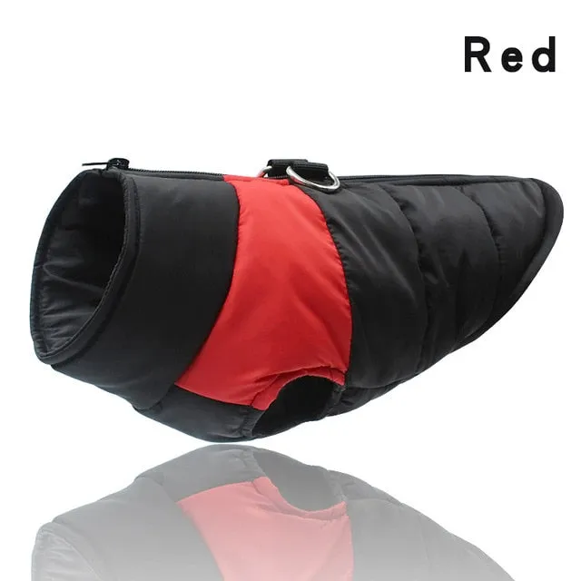 CDDM Wtaerproof Jacket