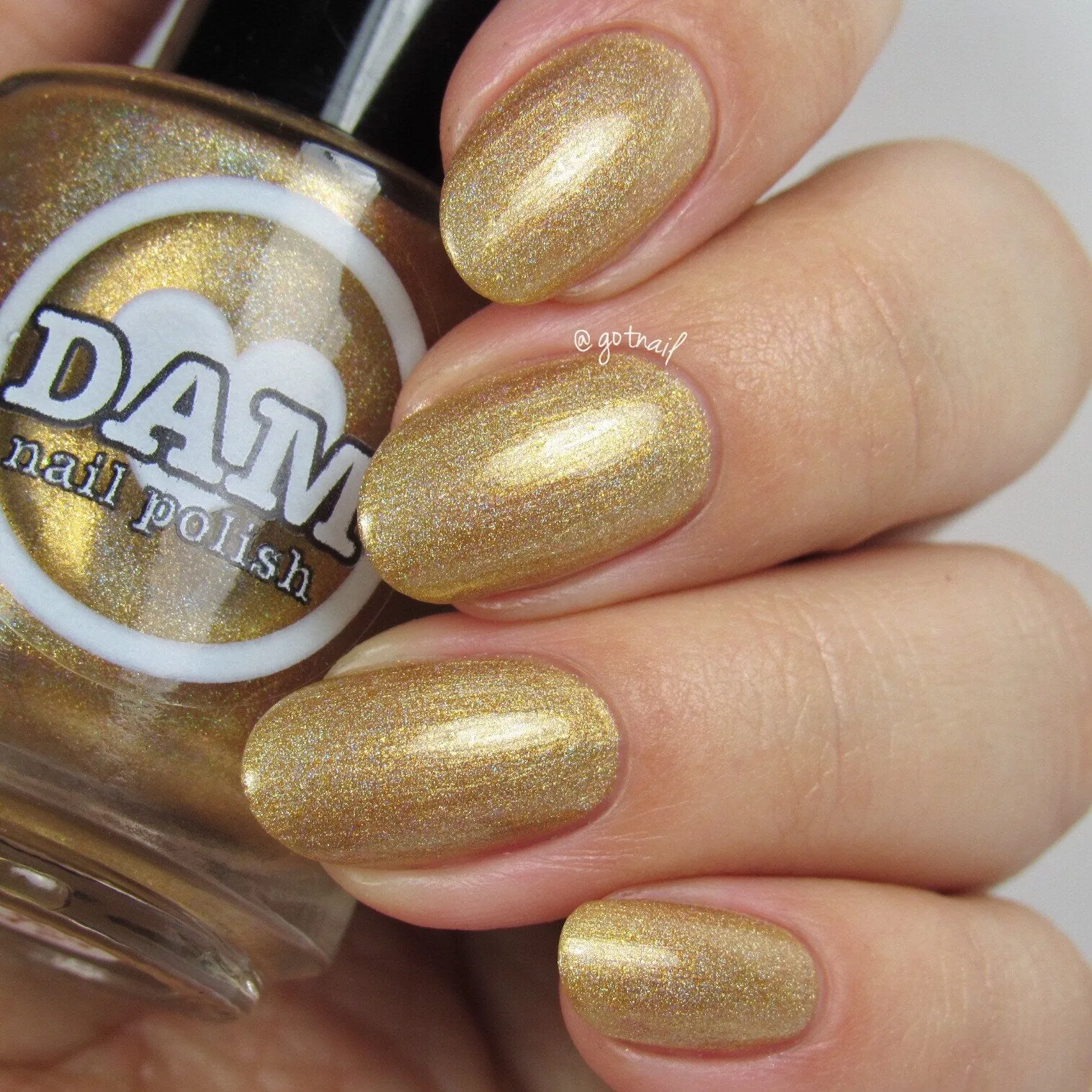Dam Nail Polish - Holo World - Holo Can You Gold?