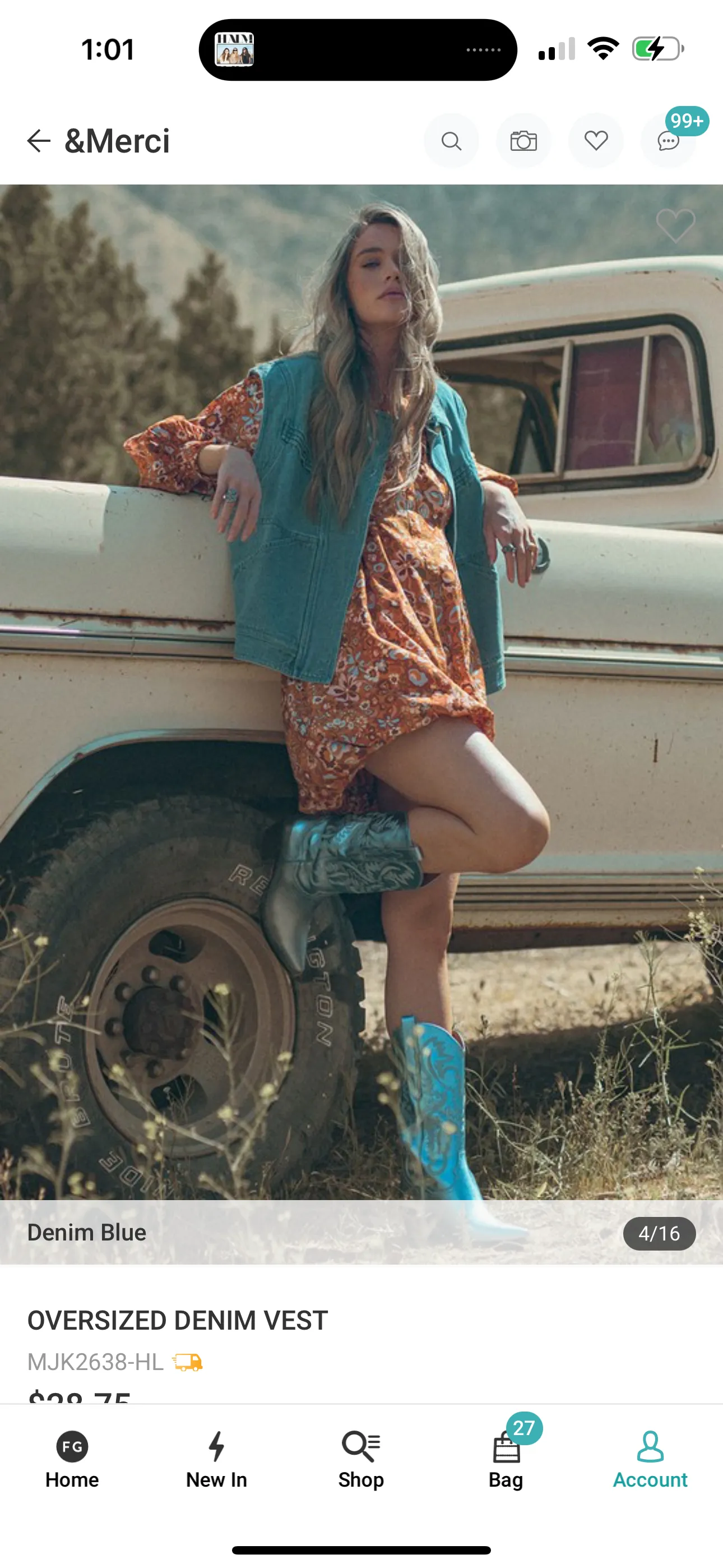 Denim Vest