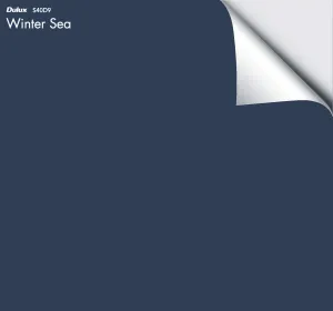 Dulux Winter Sea