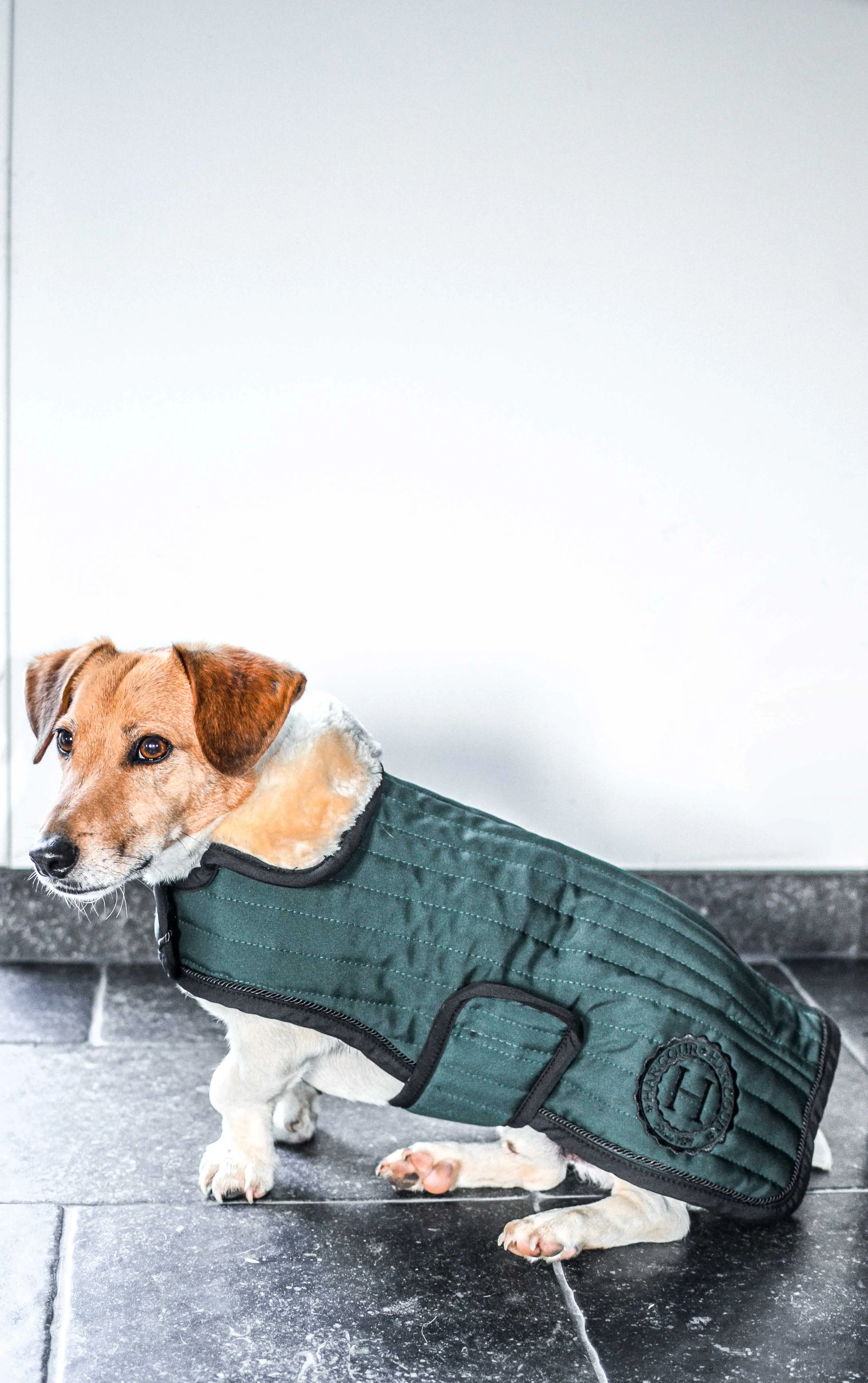 Harcour Code Dog Coat - Jungle Green