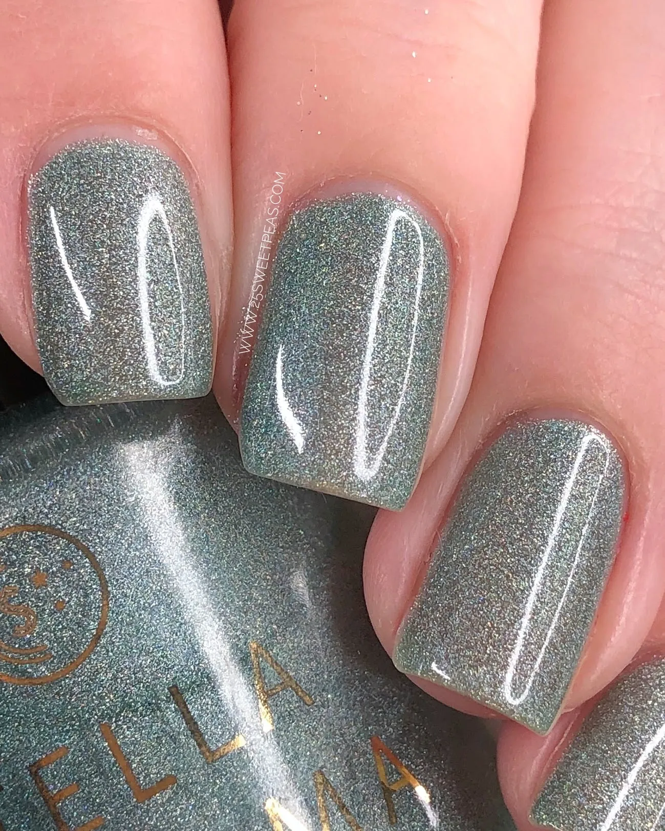 Icy Mint