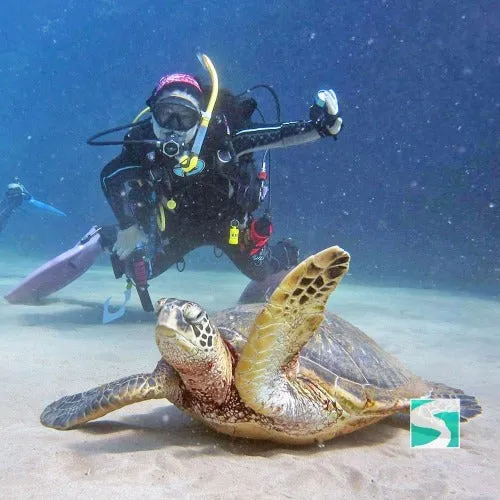 PADI open water diver - 3 day course Koh Samui