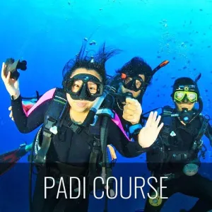 PADI open water diver - 3 day course Koh Samui