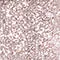 Sequin Duster