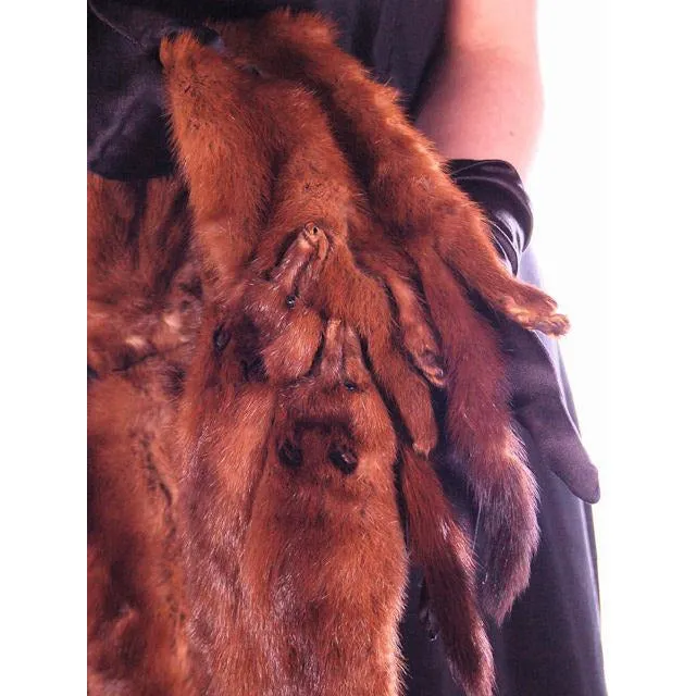 Vintage Stone Marten Fur  Wrap 1930S Celluloid Chain