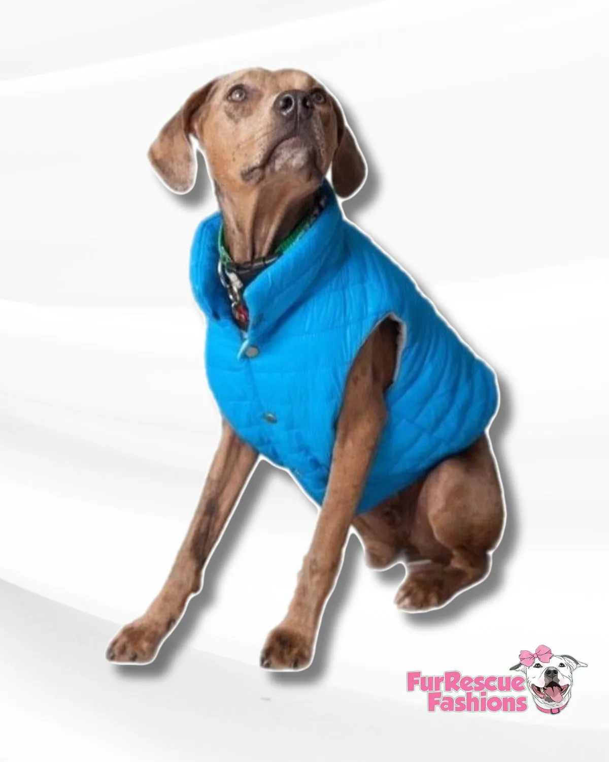 Weather Resistant Winter Puffer Vest