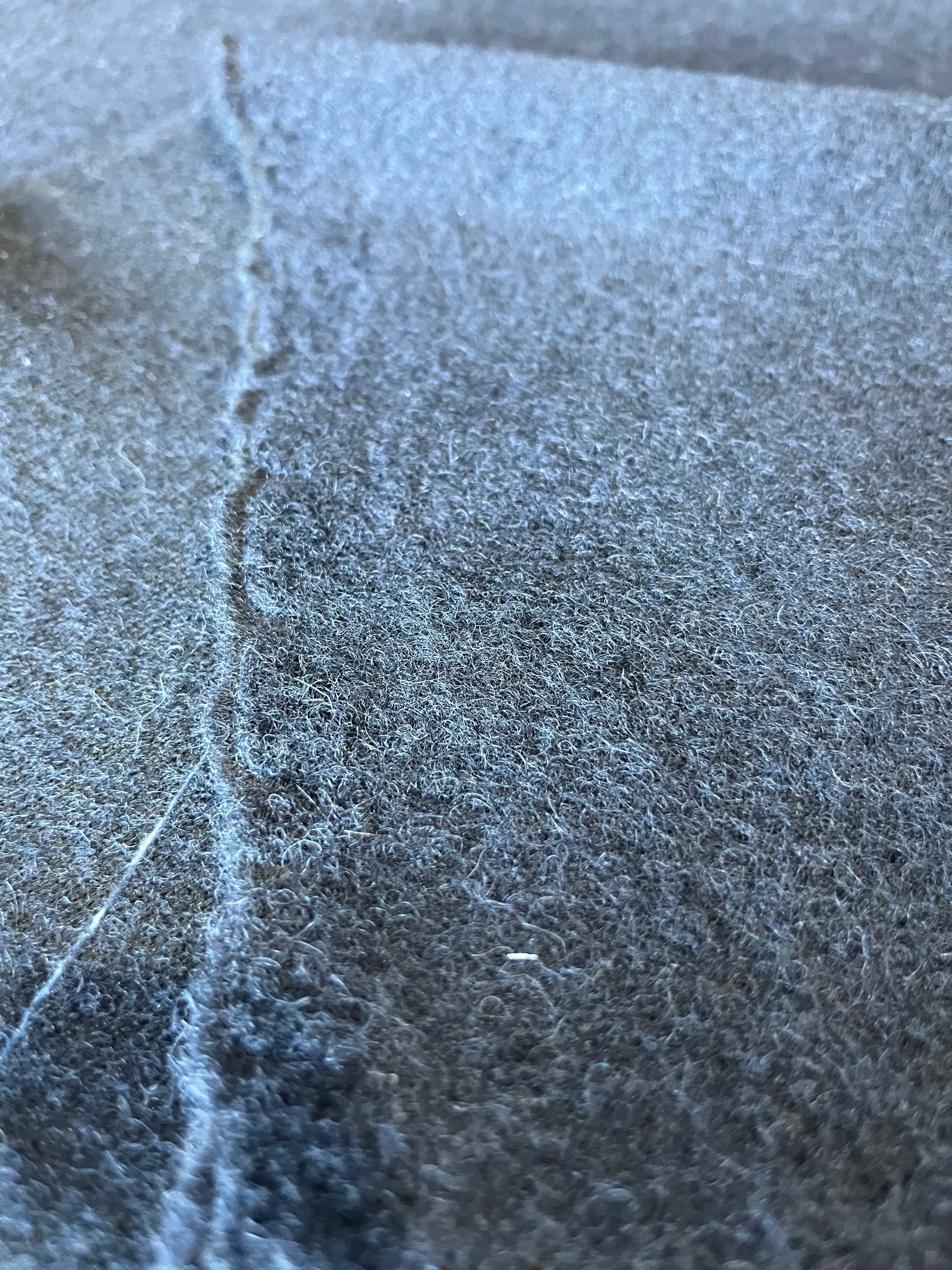 WOOLY BOILED WOOL NAVY
